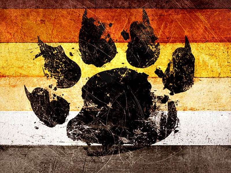 Bad Bear